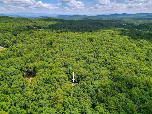 bird's eye view with a mountain view