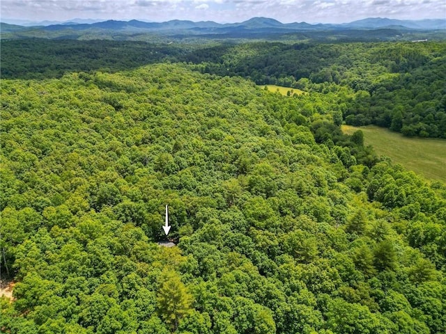 bird's eye view with a mountain view