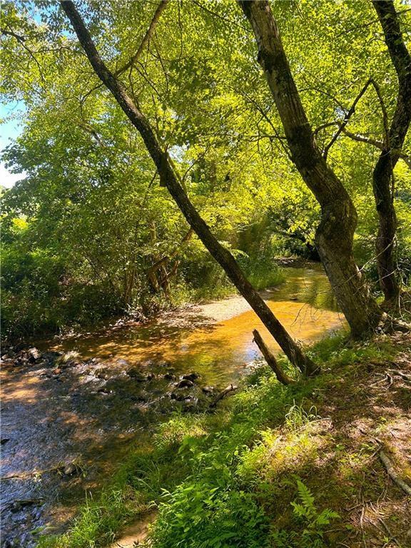 view of local wilderness featuring a water view