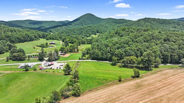 birds eye view of property with a rural view, a view of trees, and a mountain view