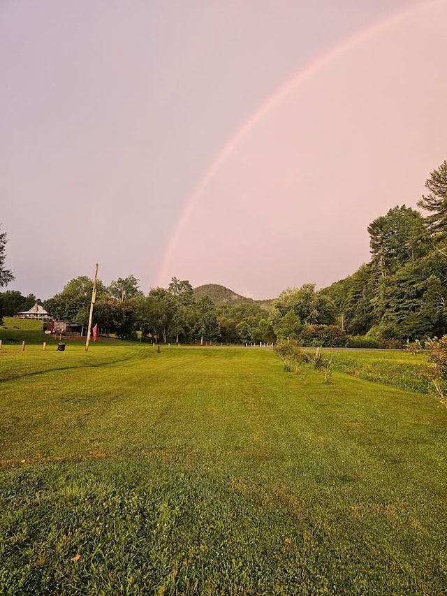 view of community featuring a yard