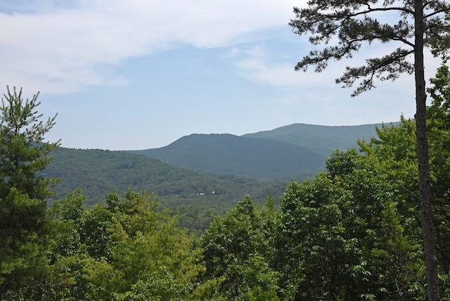 73 Rosiey Ln, Blue Ridge, GA 30513 - mountain view with a forest