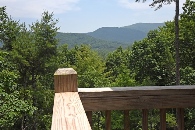 73 Rosiey Ln, Blue Ridge, GA 30513 - mountain view