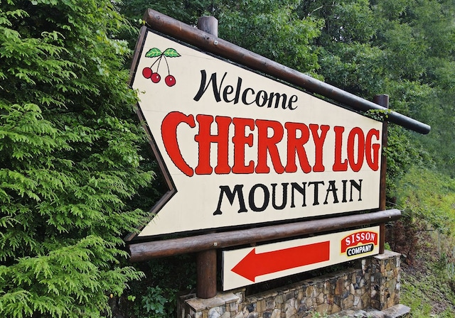 73 Rosiey Ln, Blue Ridge, GA 30513 - view of community / neighborhood sign