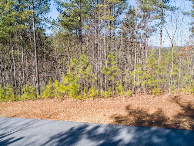 Listing photo 2 for LT74 Ridge Crst, Blairsville GA 30512