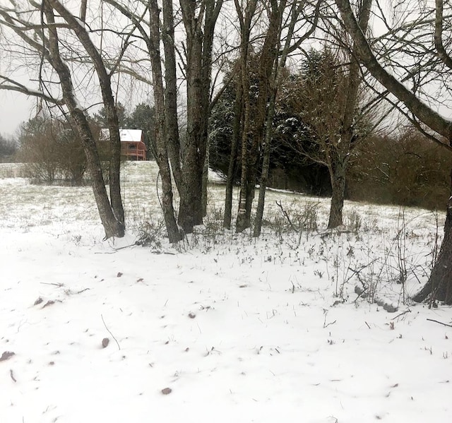 view of snow covered land