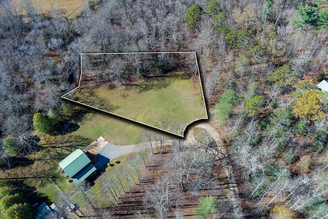 0 Pine Grove, Mccaysville GA, 30513 land for sale