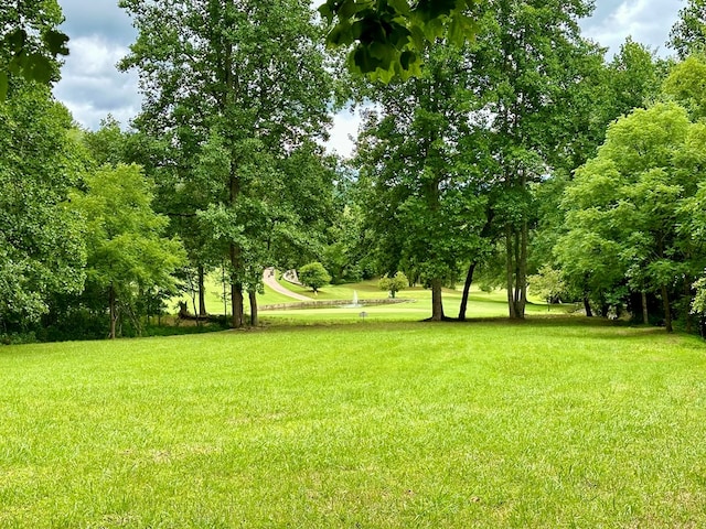 Listing photo 3 for Lot65C Mountain Harbour, Hayesville NC 28904