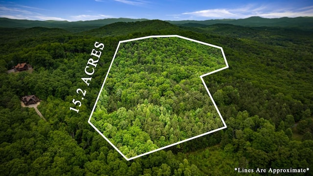 15.20 Piney Acres Rd, Blue Ridge, GA 30513 - aerial overview of property's location featuring a heavily wooded area, property boundaries highlighted, and a mountain backdrop