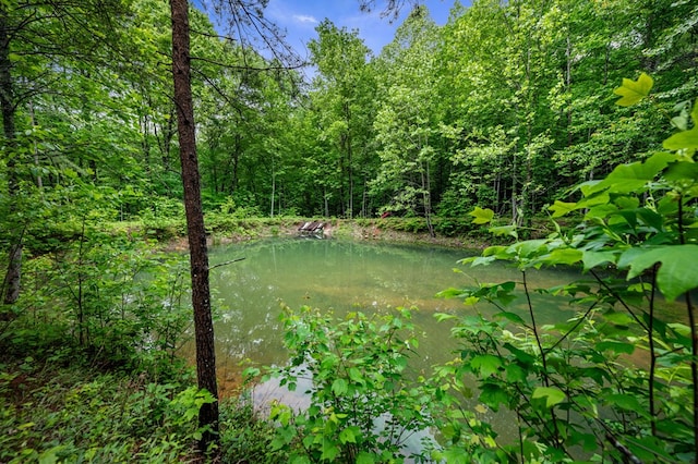 15.20 Piney Acres Rd, Blue Ridge, GA 30513 - water view featuring a heavily wooded area