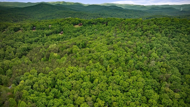 15.20 Piney Acres Rd, Blue Ridge, GA 30513 - mountain view featuring a forest
