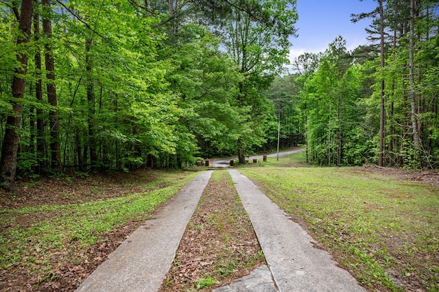 15.20 Piney Acres Rd, Blue Ridge, GA 30513 - view of street featuring a view of trees
