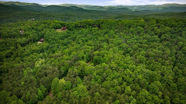 15.20 Piney Acres Rd, Blue Ridge, GA 30513 - mountain view with a heavily wooded area