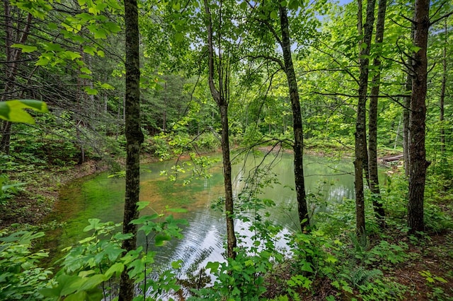 15.20 Piney Acres Rd, Blue Ridge, GA 30513 - water view
