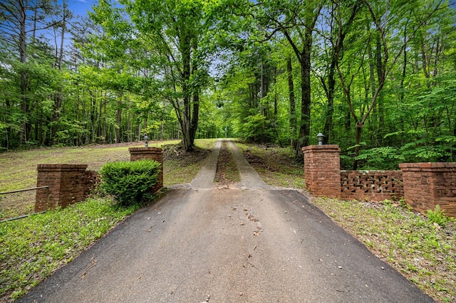 15.20 Piney Acres Rd, Blue Ridge, GA 30513 - view of asphalt driveway with a view of trees