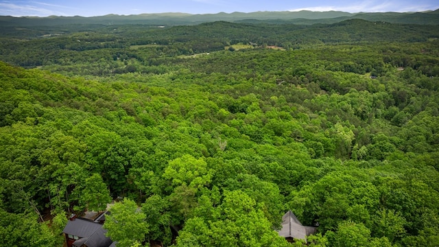 15.20 Piney Acres Rd, Blue Ridge, GA 30513 - aerial view of a forest and mountains