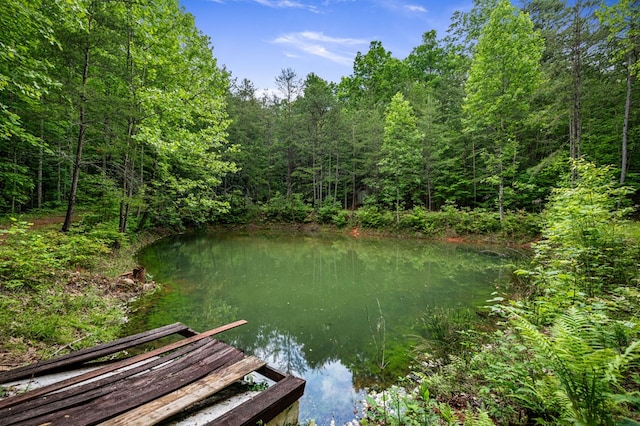 15.20 Piney Acres Rd, Blue Ridge, GA 30513 - water view featuring a forest and a dock