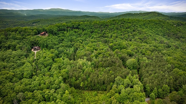 15.20 Piney Acres Rd, Blue Ridge, GA 30513 - bird's eye view of a forest and a mountain backdrop