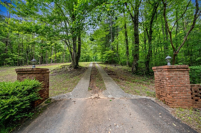 15.20 Piney Acres Rd, Blue Ridge, GA 30513 - view of asphalt driveway featuring street lighting and a wooded view