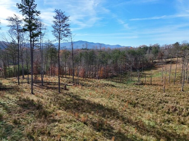 902 Deitz Cable Rd, Warne NC, 28909 land for sale