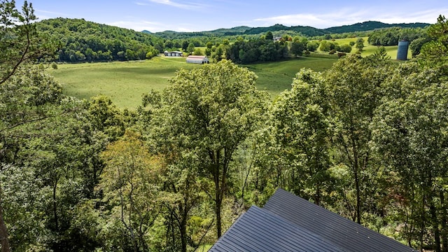 LOT11 Windy Valley Trl, Blue Ridge, GA 30513 - aerial view of a mountainous background and a forest