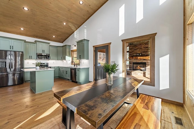 LOT11 Windy Valley Trl, Blue Ridge, GA 30513 - kitchen featuring green cabinets, appliances with stainless steel finishes, high vaulted ceiling, light wood-style flooring, and light countertops