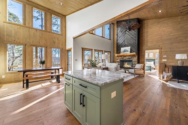 LOT11 Windy Valley Trl, Blue Ridge, GA 30513 - kitchen with green cabinetry, high vaulted ceiling, a fireplace, healthy amount of natural light, and hardwood / wood-style floors