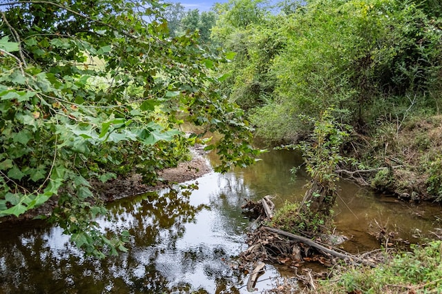 LOT11 Windy Valley Trl, Blue Ridge, GA 30513 - water view
