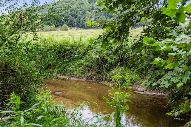 LOT11 Windy Valley Trl, Blue Ridge, GA 30513 - view of local wilderness