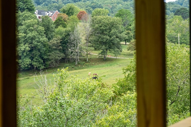LOT11 Windy Valley Trl, Blue Ridge, GA 30513 - view of yard featuring a wooded view