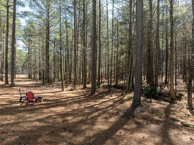 view of local wilderness featuring a forest view