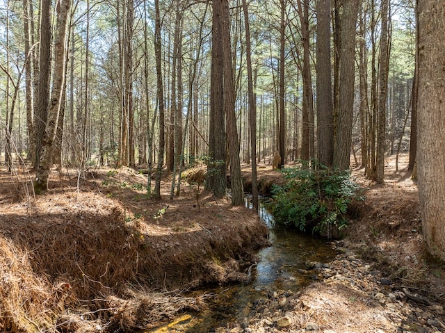 view of local wilderness featuring a view of trees