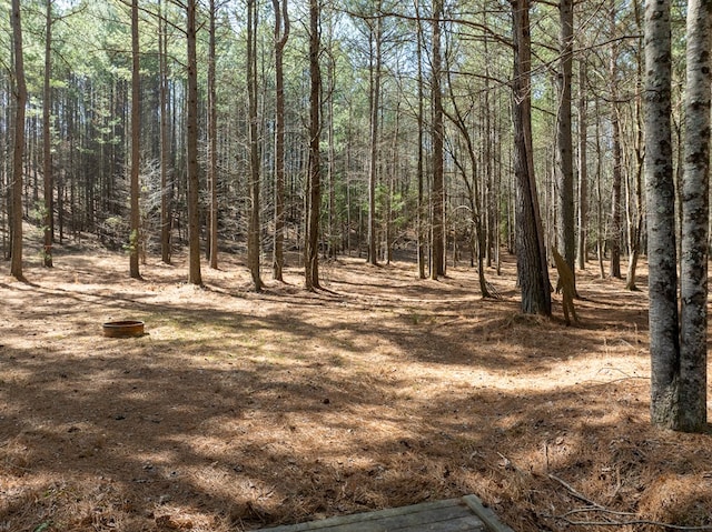 view of local wilderness