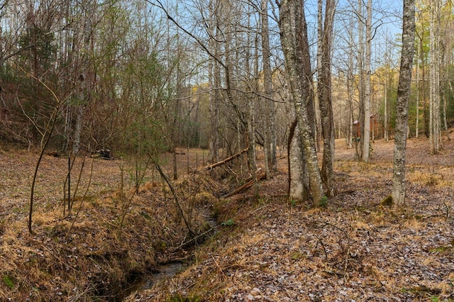 view of landscape