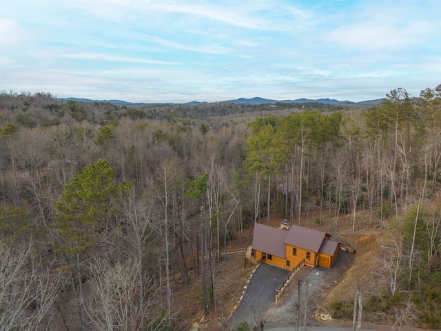 property view of mountains