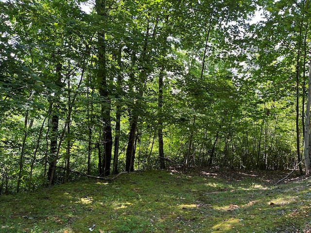 Listing photo 3 for LOT26 Double Knob Dr E, Hayesville NC 28904