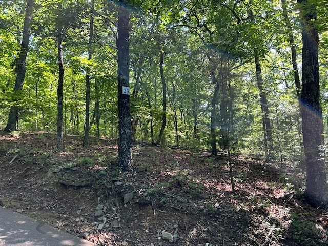 Listing photo 2 for LOT25 Mission Ridge Dr, Hayesville NC 28904