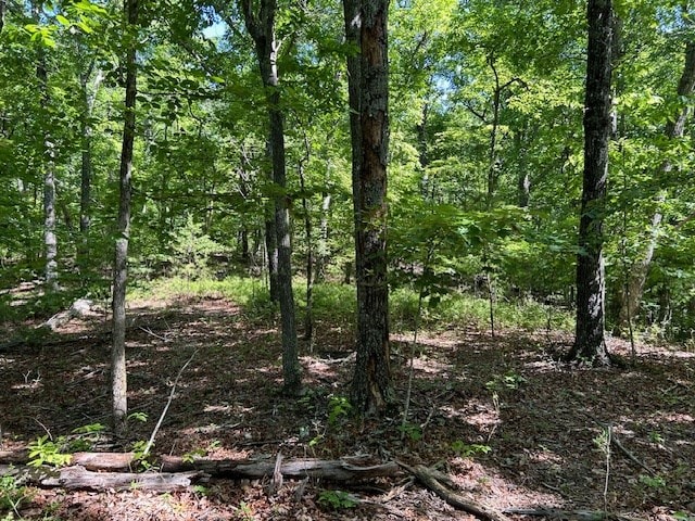 Listing photo 3 for LOT25 Mission Ridge Dr, Hayesville NC 28904