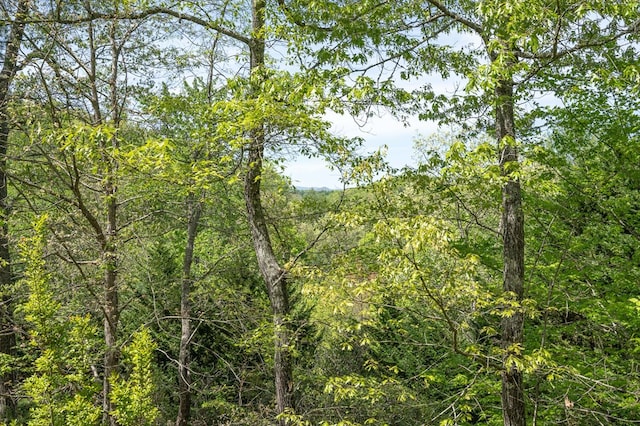 view of landscape with a forest view