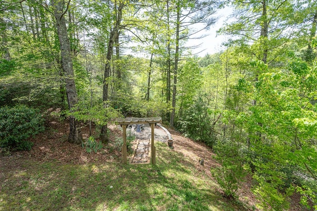 view of yard featuring a forest view