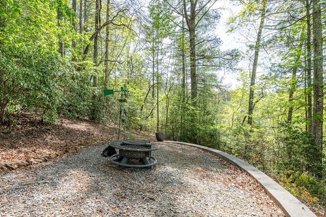 view of yard featuring a wooded view