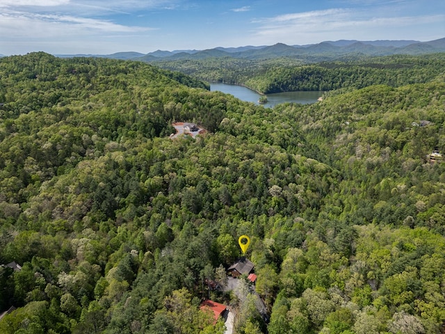 bird's eye view with a view of trees and a water and mountain view