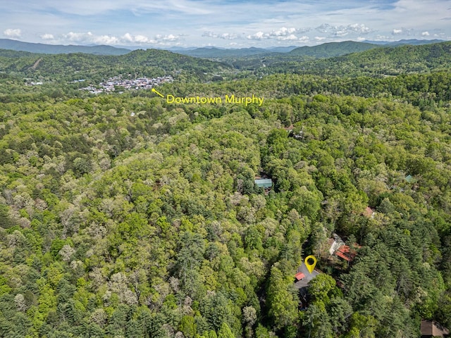 drone / aerial view featuring a view of trees and a mountain view