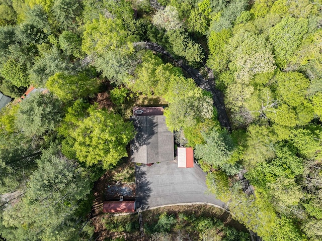 aerial view