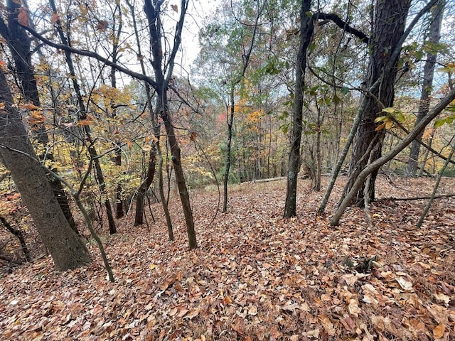 LOT468 Cherokee Ct, Ellijay GA, 30540 land for sale