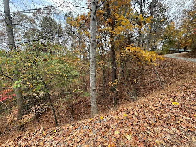 Listing photo 3 for LOT468 Cherokee Ct, Ellijay GA 30540