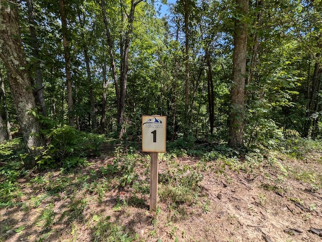 LOT1 White Oak Cir, Blue Ridge GA, 30513 land for sale