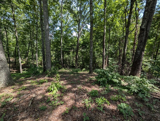 Listing photo 2 for LOT1 White Oak Cir, Blue Ridge GA 30513