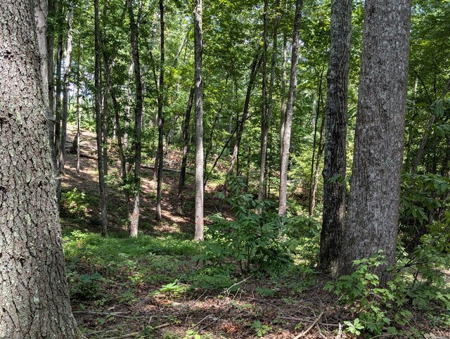 Listing photo 3 for LOT1 White Oak Cir, Blue Ridge GA 30513