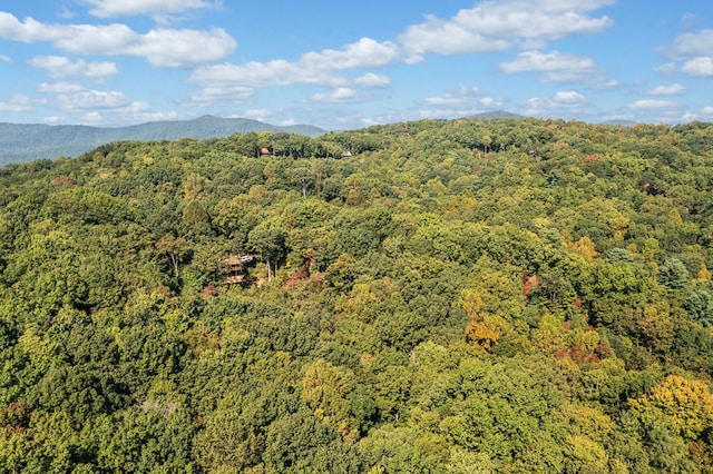 aerial view with a mountain view